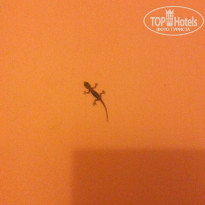 фото из отзыва ID 1331576