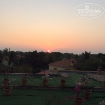 фото из отзыва ID 1331576