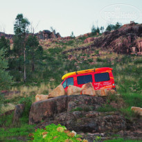 фото из отзыва ID 1331607