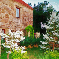 фото из отзыва ID 1331607