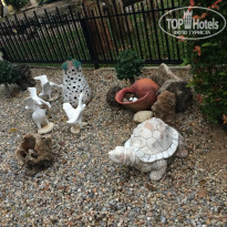 фото из отзыва ID 1331622