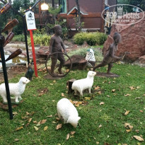 фото из отзыва ID 1331622