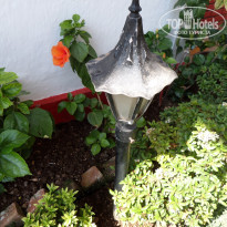 фото из отзыва ID 1331663