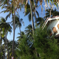 фото из отзыва ID 1331664