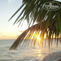 фото из отзыва ID 1331664