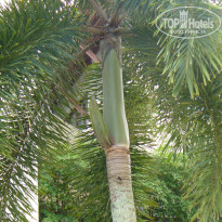 фото из отзыва ID 1331689