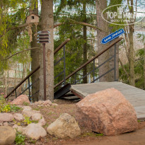 фото из отзыва ID 1331779