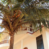 фото из отзыва ID 1331789