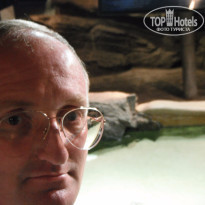 фото из отзыва ID 1331812