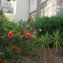 фото из отзыва ID 1331854