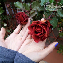 фото из отзыва ID 1332020