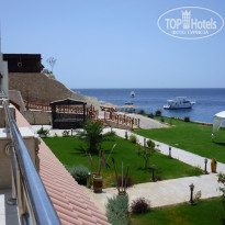 фото из отзыва ID 1332088