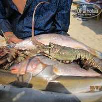 фото из отзыва ID 1332358