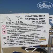 фото из отзыва ID 1332408