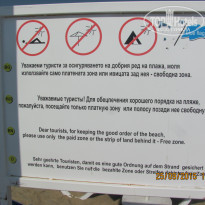 фото из отзыва ID 1332408