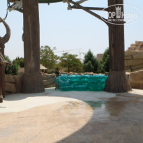 фото из отзыва ID 1332507