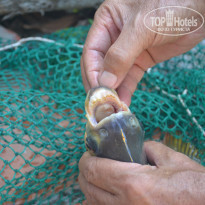 фото из отзыва ID 1332522