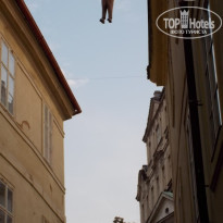 фото из отзыва ID 1332553