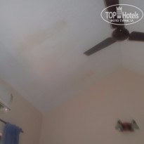 фото из отзыва ID 1332672