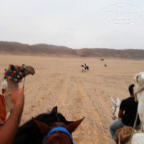 фото из отзыва ID 1332676