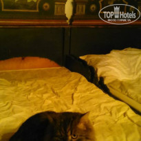 фото из отзыва ID 1332783