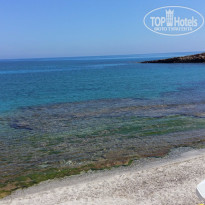 фото из отзыва ID 1332836