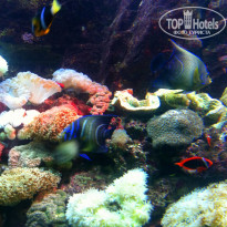 фото из отзыва ID 1332861