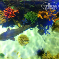 фото из отзыва ID 1332861