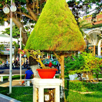 фото из отзыва ID 1330935