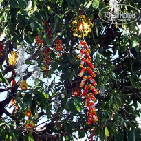 фото из отзыва ID 1330935