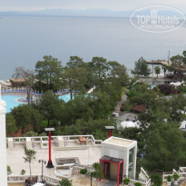 фото из отзыва ID 1332917