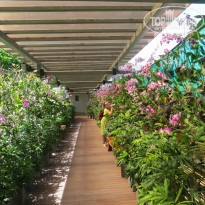 фото из отзыва ID 1332929