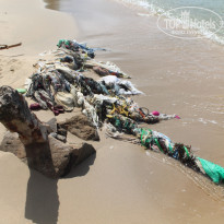 фото из отзыва ID 1332964