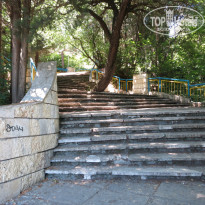 фото из отзыва ID 1333041