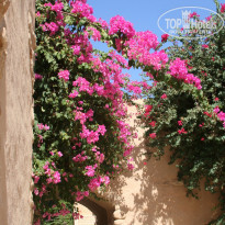 фото из отзыва ID 1333044