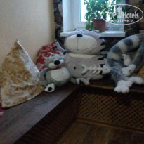 фото из отзыва ID 1333049