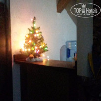 фото из отзыва ID 1333049