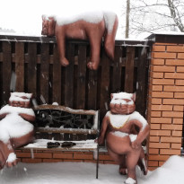 фото из отзыва ID 1333049