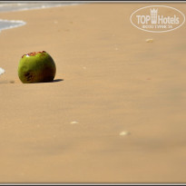 фото из отзыва ID 1333208