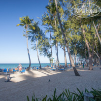 фото из отзыва ID 1333313