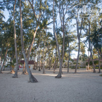 фото из отзыва ID 1333313