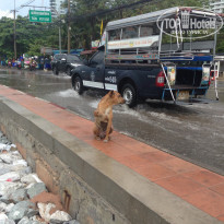 фото из отзыва ID 1333396