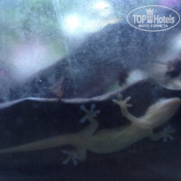 фото из отзыва ID 1333396