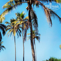 фото из отзыва ID 1333524