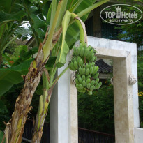 фото из отзыва ID 1333537