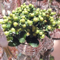 фото из отзыва ID 1331794