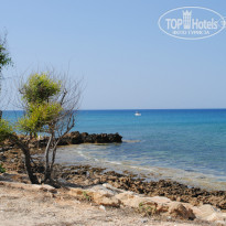 фото из отзыва ID 1333742