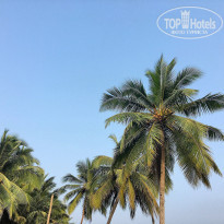 фото из отзыва ID 1333845