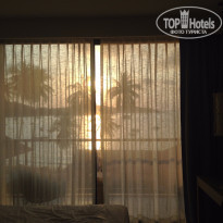 фото из отзыва ID 1333965