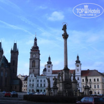 фото из отзыва ID 1334013